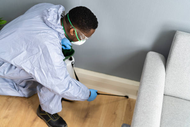 Best Residential Pest Control  in Womelsdorf, PA